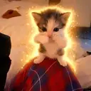 SCUBACAT