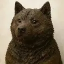 Dogshit