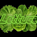 Lettuce