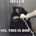 CALLDOG