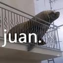 JUAN⁠