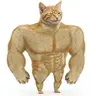 BUFFCAT