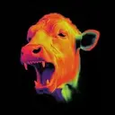 NeonBull