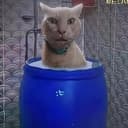 心如止水