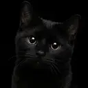 BLACKCAT