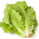 LETTUCE