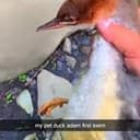 Adam