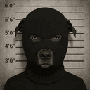 crimedog