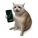STOCKCAT