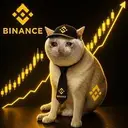 BSC Cat