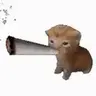 ATH