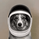 SPACEDOG