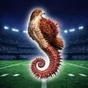 Seahawk