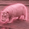 TaoTao