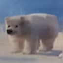 ber
