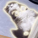 supii