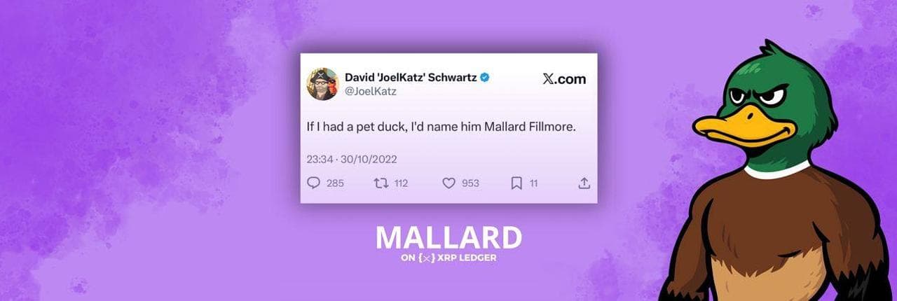 MALLARD Banner