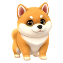 Shiba