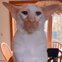 dobby