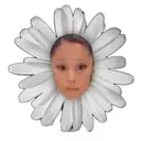 Petal