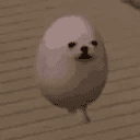 EGGDOG