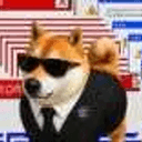 memedoge