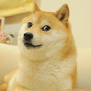 DOGE