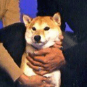 Ikkyu