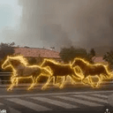 Horses