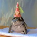 frogwif