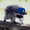 wif