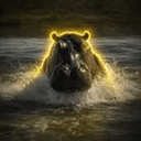 Hippo