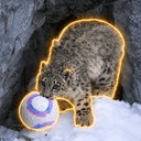 SnowLeo