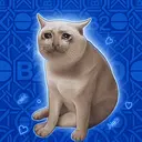 B20CAT