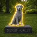 9/11