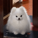 fluff