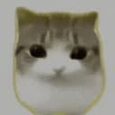DAMDAM