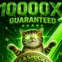 cash cat
