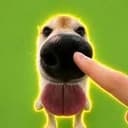 boop