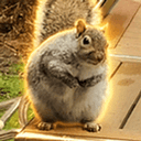 Chungus