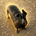 Cola Dog