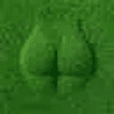 grass