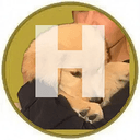 Halo