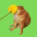 POOF