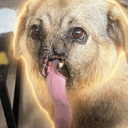 moaca