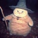 WIZCAT