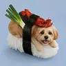 SUSHIDOG