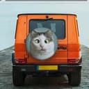 bacat