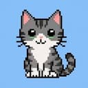 CATIFICATION