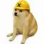 cashdog